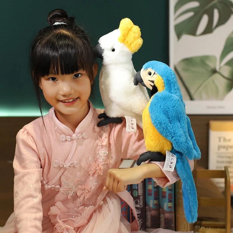 Product Introduction of 25CM Lifelike Bright Colorful Parrot Plush Toys Soft Simulation Wild Animals Stuffed Bird Doll Children Kids Gift Home Decor 17