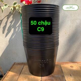 50 chậu nhựa đen C9 trồng cây kiểng, trồng hoa, trồng rau (dày) chau trong cay
