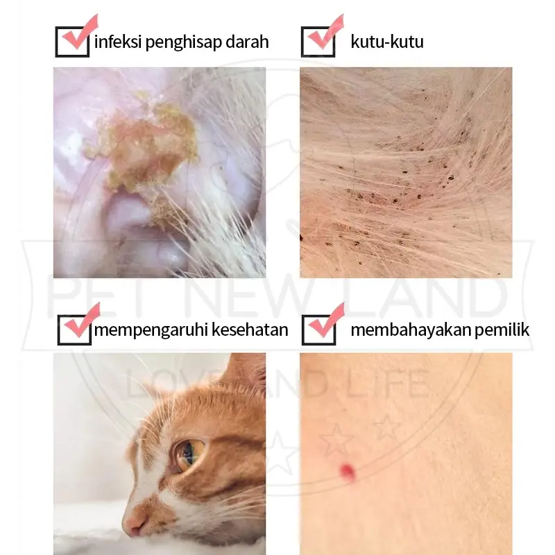 Kalung Anti Kutu Kucing Anjing Anti Serangga Pinjal Dapat Disesuaikan Aksesoris Hewan Peliharaan 2