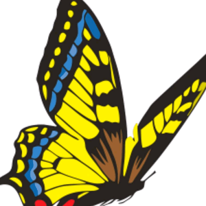 Phụ liệu tóc nail Quang Vinh