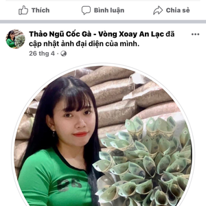 Thảo Ngũ Cốc Gà