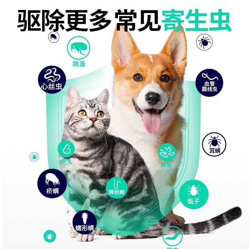 SH97 Superior ProductsKai Rui Sicat Vermifuge Body Inside And Outside Integrated With Ear Mite Repellent Heartworm Drops 6