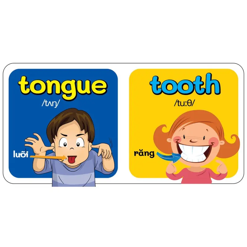 Sách - Trọn Bộ 9 Quyển Từ Điển Bằng Hình Đầu Tiên Của Bé Từ 0-6 tuổi - Anh- Việt (Các trang đều là Bìa Cứng -HỒNG) 8