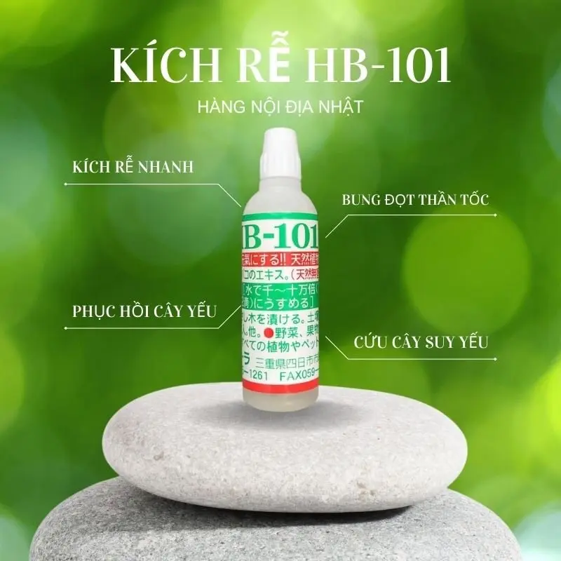 [Combo 3 lọ] Kích Rễ HB-101 Nội Địa Nhật Bản, Phục Hồi Cây Yếu, dùng được cho tất cả các loại cây lọ 6ml 2