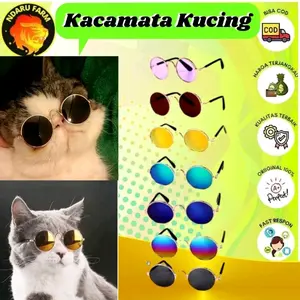 Kacamata Kucing murah Keren Untuk hewan peliharaan Anda aksesoris hewan NDARU FARM