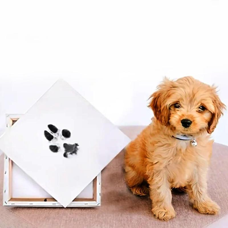Product Introduction of Pet Footprints No-Rinse Stamping Oil Pet Footprint Stamps X5B3 38