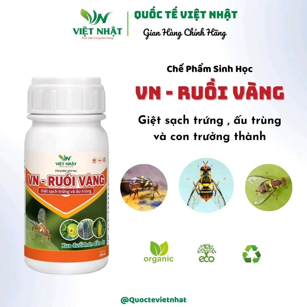 Chế phẩm sinh học xử lý ruồi vàng trưởng thành, ấu trùng và con non của ruồi vàng