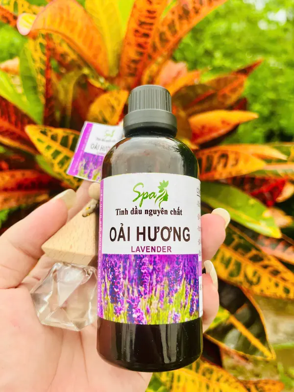 Tinh Dầu Oải Hương Nguyên Chất SPA 100ML - 50ML ( Tặng vở lọ treo xe ) 0