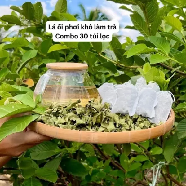 COMBO 30 TÚI LỌC TRÀ LÁ Ổi  Nước Trà Tea 0