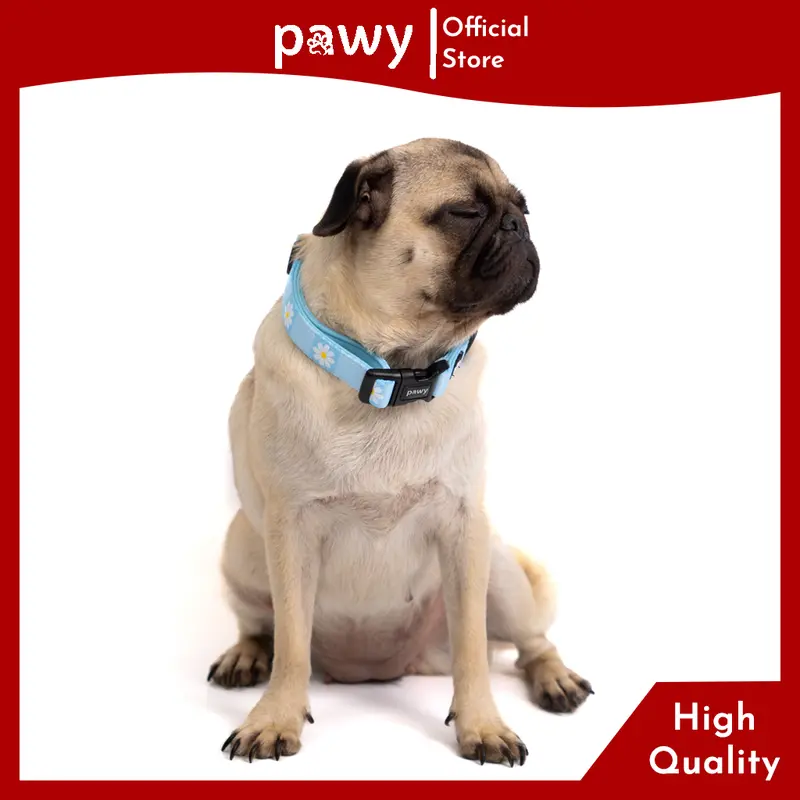 Vòng Cổ Chó Pawy - Daisy On The Sea - Dog Collar 2