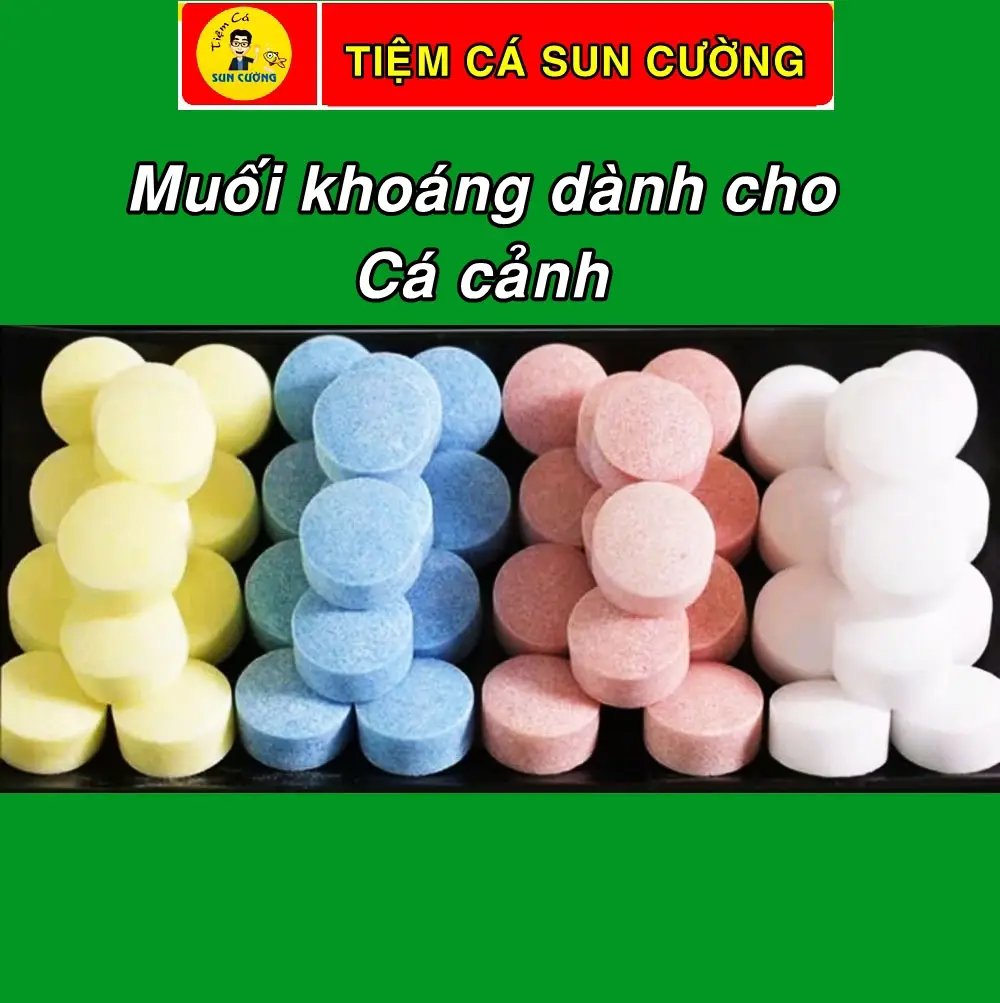 Viên muối khoáng viên thực phẩm bổ trợ cho cá cảnh