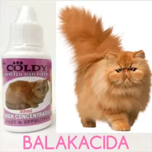 COLDY CAT obat flu pilek bersin kucing