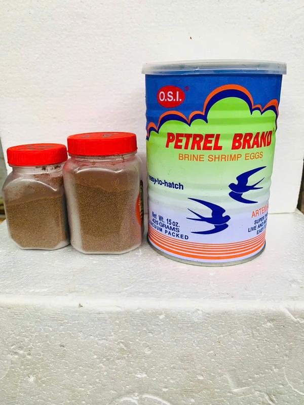 Thức ăn cho cá - Artemia Mỹ-OSI Én đáy đỏ - Thức ăn  giành cho các loại cá cảnh. artemia  tươi