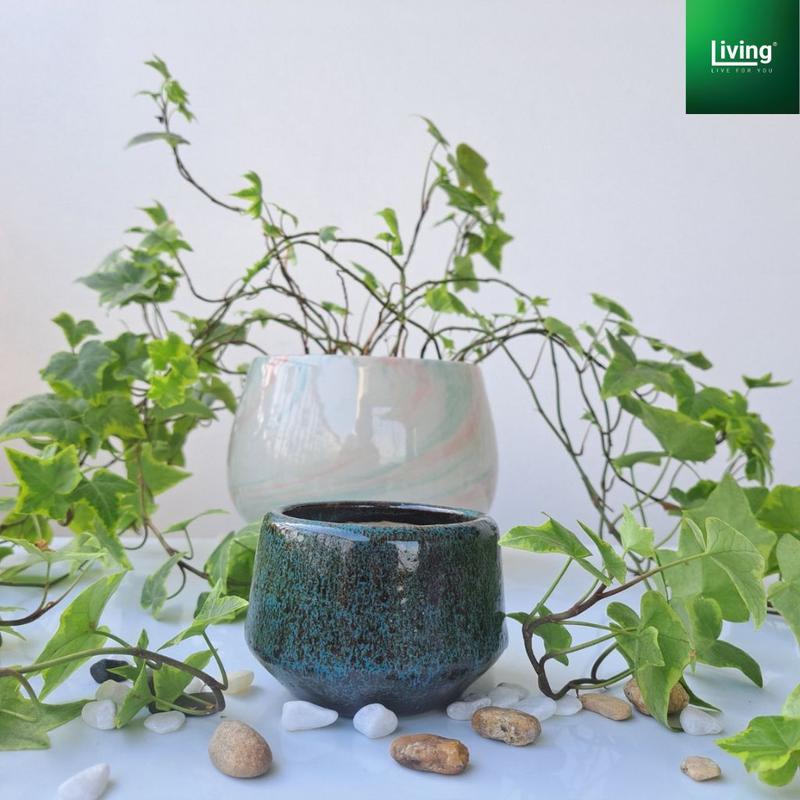 Chậu trồng sen đá, xương rồng, tiểu cảnh sứ Bát Tràng , hình hạt rẻ kích thước 8x7cm. l Living Decor 4