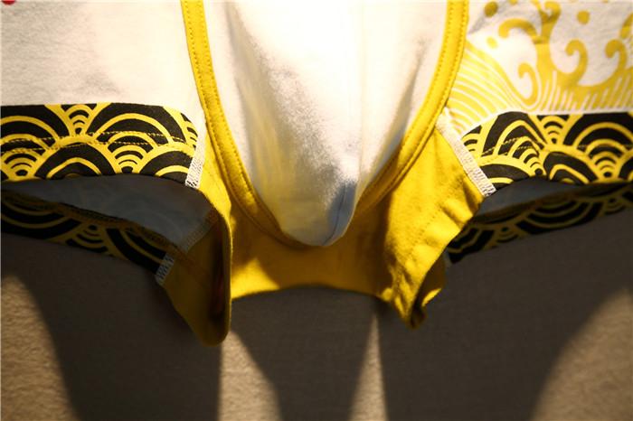 Product Introduction of 2pcs/lot men's cartoon underwear tight-fitting low-waisted cotton U convex boyshort youth breathable sports boxers 12