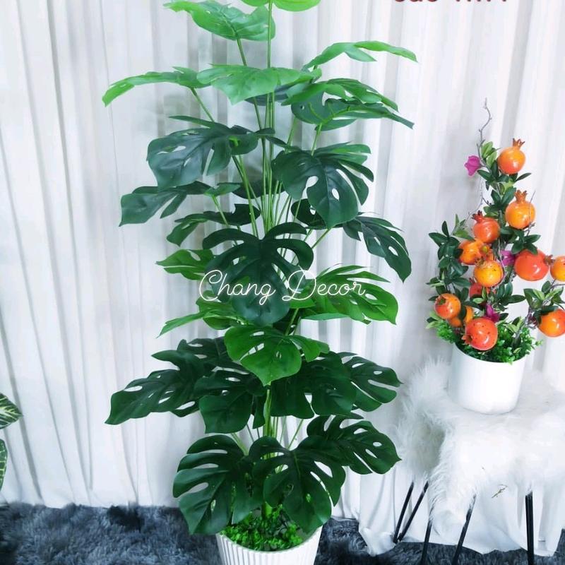 Cây giả trang trí, Cây trầu bà giả, cây chuối xanh, vạn niên thanh cao 1m3, mẫu cây giả 2 thân 36 lá