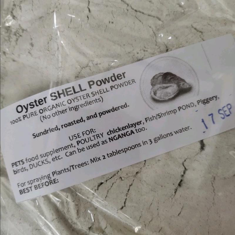 momma/nganga APOG oyster SHELL POWDER/grit for poultry & gardening ...