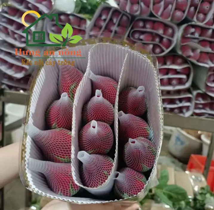 10 mét túi lưới đựng phân tan chậm, phân dê, bọc các loại hoa, bọc cố định nhiều loại sản phẩm bản 1cm , 2cm 3