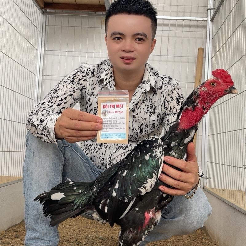 Gói rắc mạt rệp rắc nền chuồng trại trong chăn nuôi gia cầm