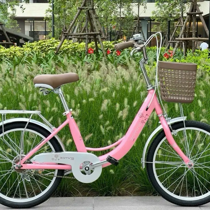 Xe bé gái hồng 1 khung size 22