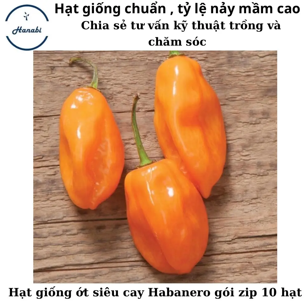 Hạt giống ớt siêu cay Habanero gói zip 10 hạt