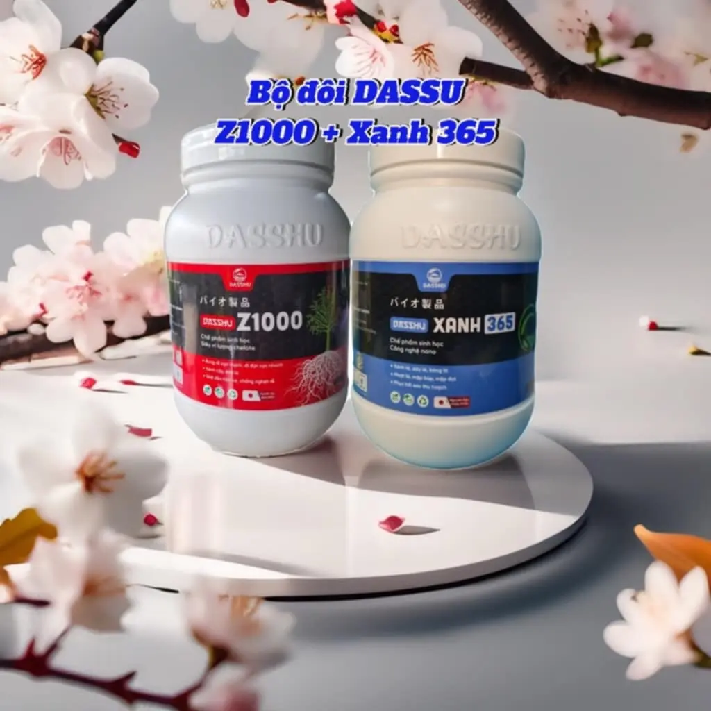 Combo Dassu Z1000 + Xanh 365 .hộp 1kg . Bung rễ mạnh, đi đọt nhanh, xanh cây , dày lá, giải độc hữu cơ chống nghẹt rễ, bổ sung trung vi lượng cho cây