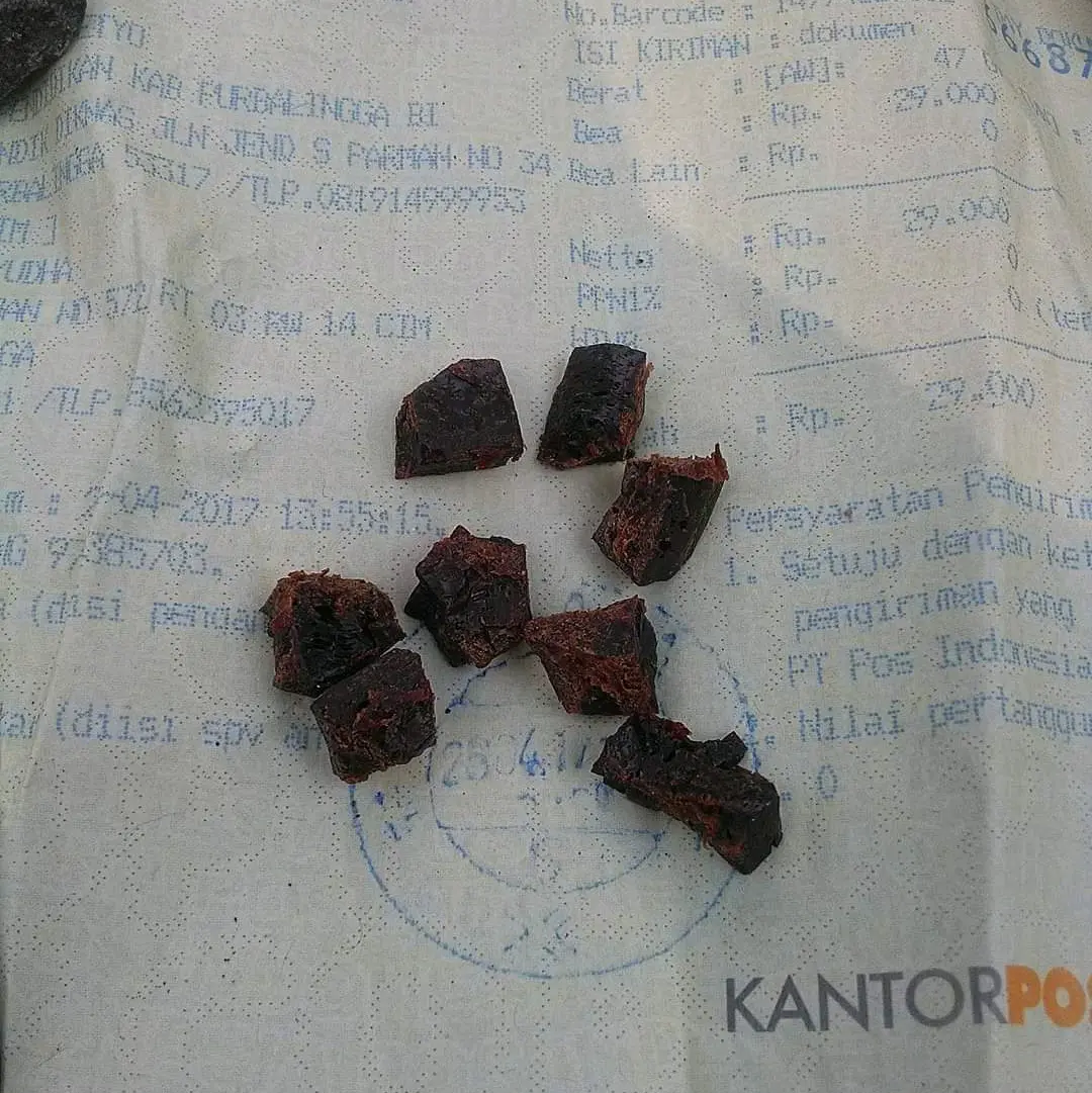 Batu Fosil Ajaib