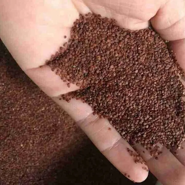 Ngũ Hoa Hạt .1Kg Mặt Nạ Ngũ Hoa to  ( Hạt Ngũ Hoa, Hạt Đình Lịch, Hạt Bình Lịch, Hạt Nhũ Hoa ) Handmade Skincare