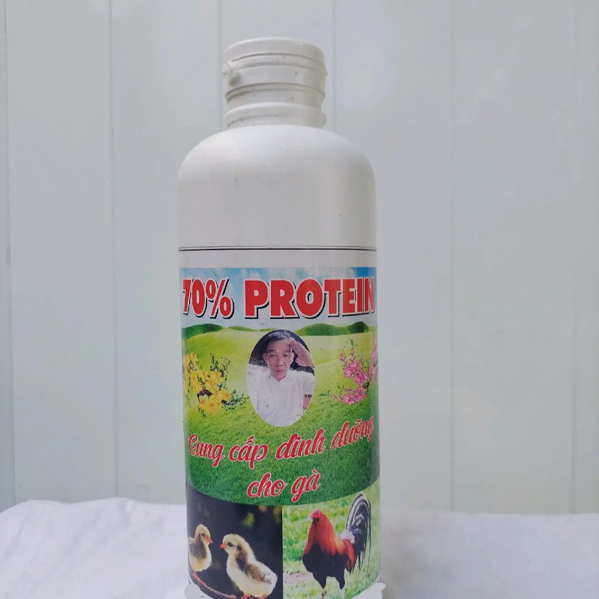 Protein cho gà bổ sung dinh dưỡng từ hàu, cá thu, tôm tích và trùn quế