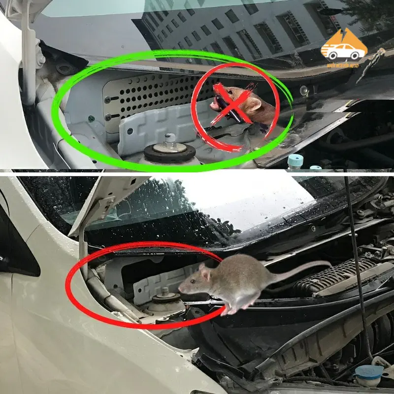 Tấm lưới chống chuột inox 304 cho các dòng xe ô tô tặng kèm lục vặn - ngăn chuột vào khoang Nội Thất Hiệu Quả Nhang 3