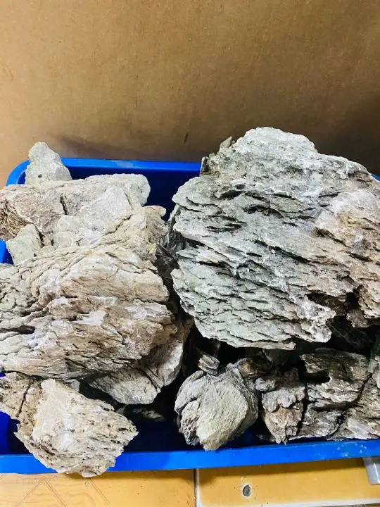 Đá Vỉa Thuỷ Sinh (1KG) Setup Bể Thuỷ Sinh, BioTope, Tiểu Cảnh Bán Cạn, Trang Trí Bể Cá Cảnh