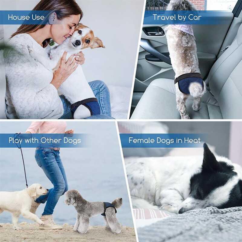 Product Introduction of Sizes Washable with 3 Replaceable Diaper for Female Mesh Hole Design Accessories Diapers Pet Panties Dog Underwear 11