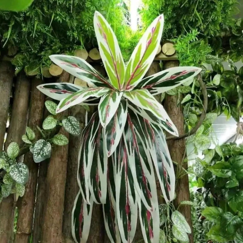 Daun pakis atau daun hanjuang artificial 1