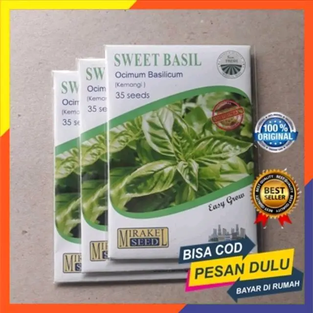 benih biji kemangi 25 biji per bungkus