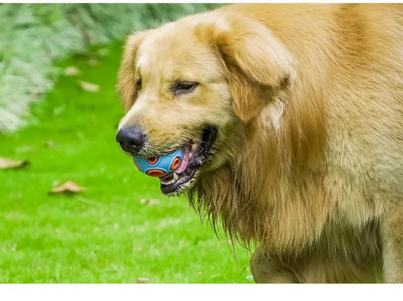 Product Introduction of Pet Toy Ball Ring Bite Resistant Sound Making Dog Toy Rubber Tooth Grinding Training Ball Pet Supplies Interactive Dog Toys 10