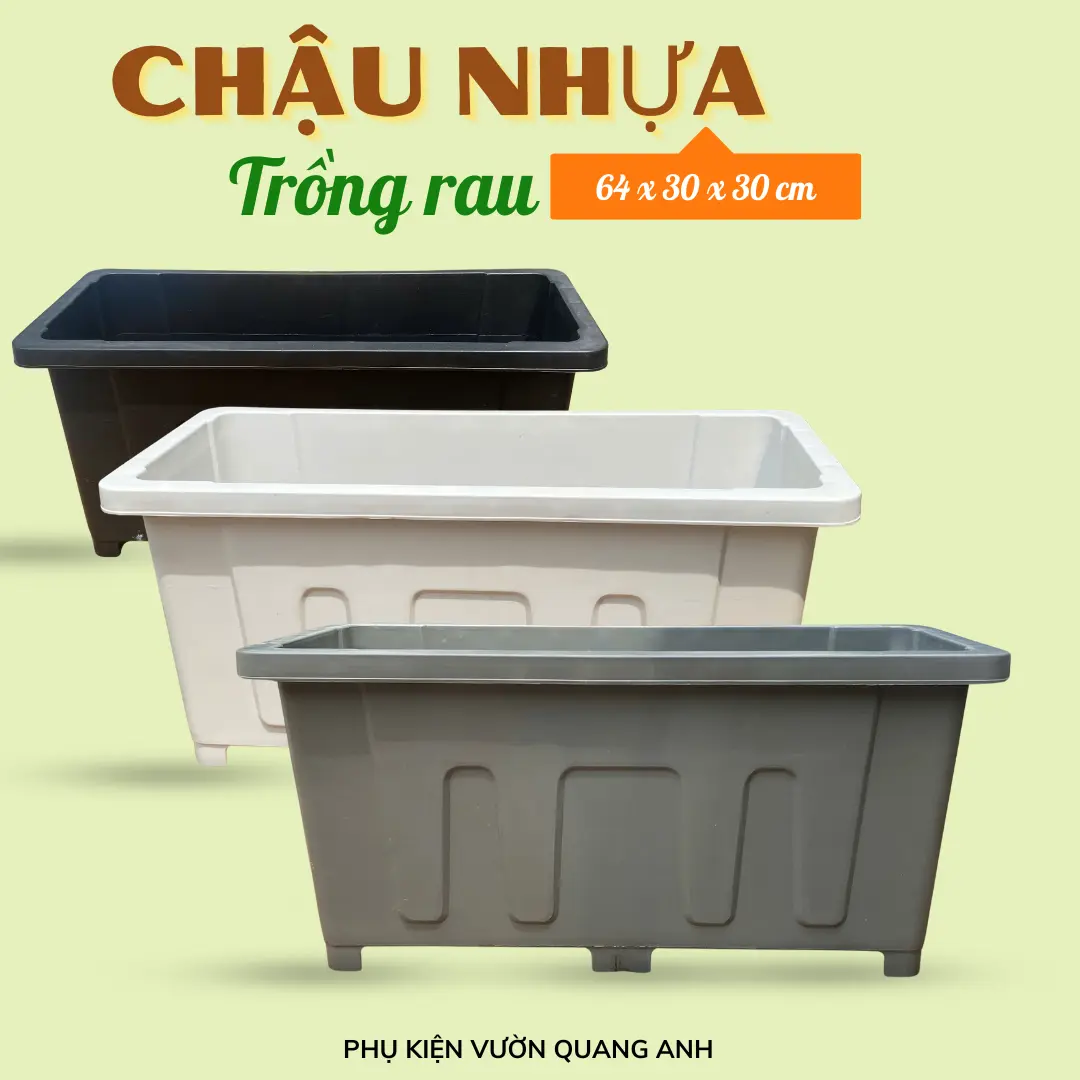 Chậu nhựa trồng rau 64x30x30 cm nhựa Đúc khối cao cấp kèm vỉ lót - Quang Anh HCM