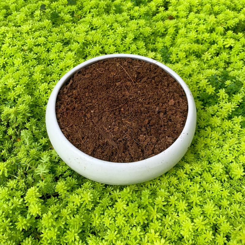 Phân trùn quế (1kg) SONDA GARDEN bổ dưỡng cho cây 3