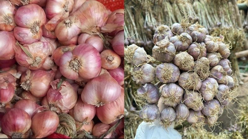 Product Introduction of 1kg tỏi tía+1kg hành khô YÊN CHÂU SƠN LA .thơm cay nồng 1