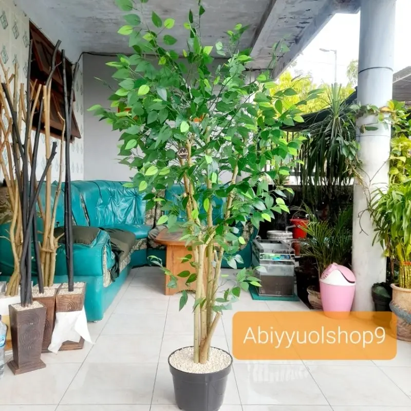 NEW ARRIVAL Pohon Hias Artificial Beringin Varigata 2 batang pohon Daun Rimbun Lebat || Natural Aesthetic 5