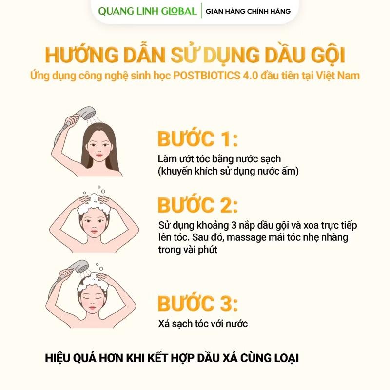 Product Introduction of [BRILHA] Dầu Gội - Dầu Xả Hữu Cơ Gừng Tươi - Hà Thủ Ô BRILHA - Bổ Sung Công Nghệ Sinh Học, Đen Tóc, Mượt Tóc, Giảm Rụng Tóc daugoi cap trị gàu 30