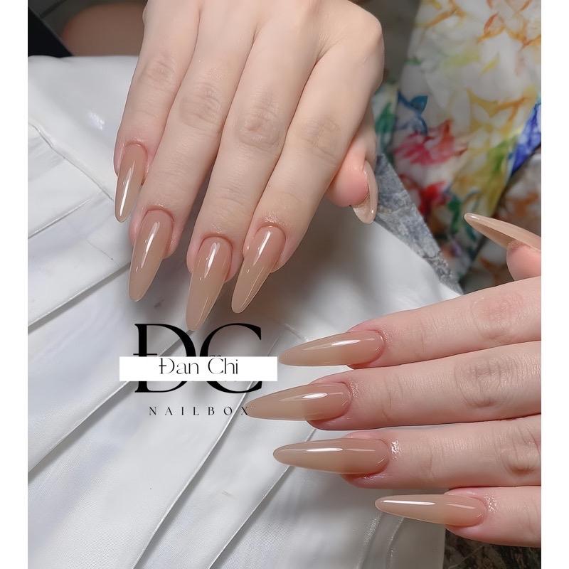  Nailbox Móng Giả Thiết Kế Sẵn Mẫu Sơn Trơn Thạch Nâu 