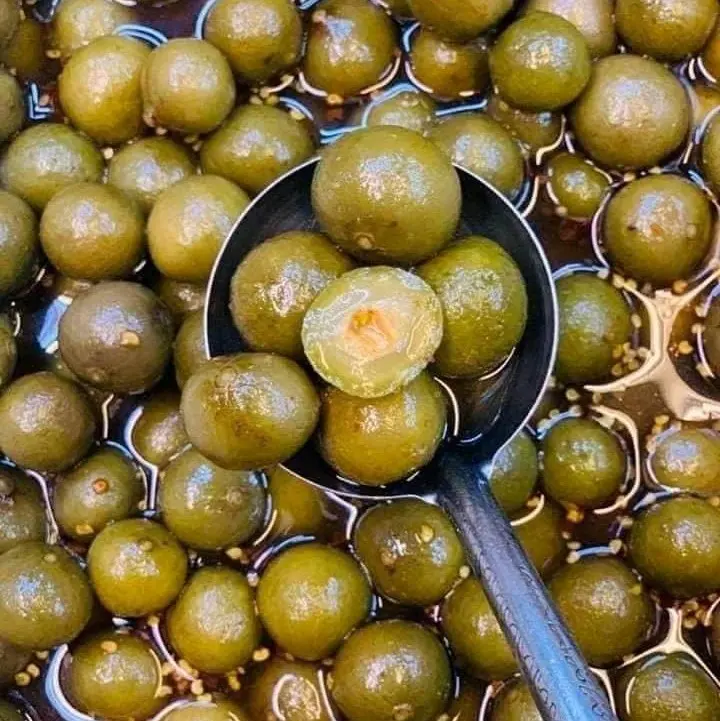 SẤU BAO TỬ GIÒN OMAI
