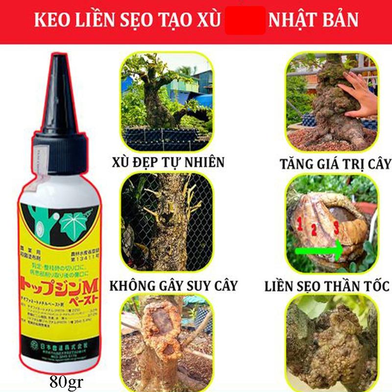 2 lọ Keo Liền Da Cây - Liền Sẹo Cho Cây Bonsai - Thế Hệ Mới Từ Nhật - Tạo Xù, U nghệ Thuật (80gr) 1