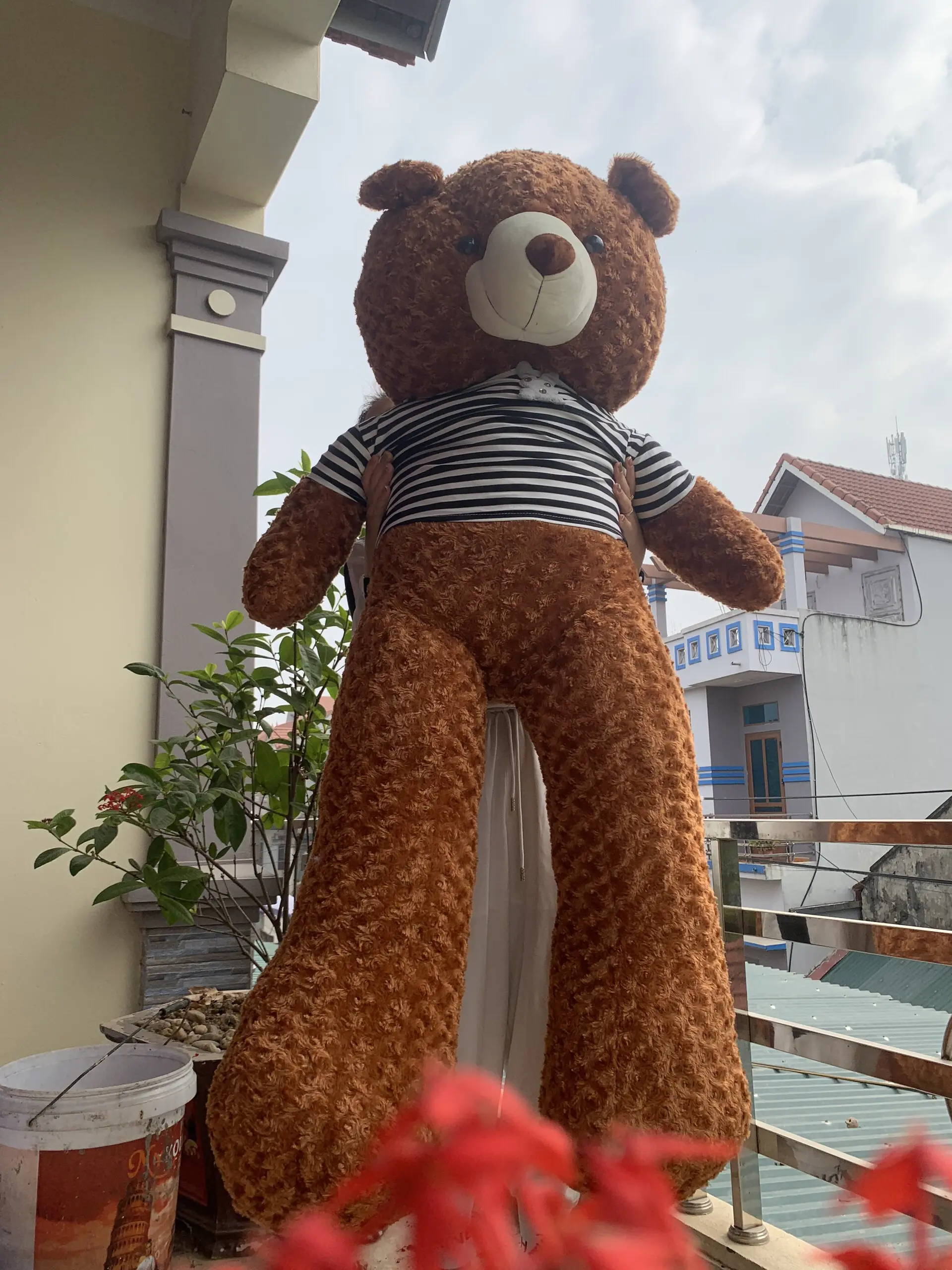 Gấu  bông teddy siêu to khổng lồ đủ màu+++