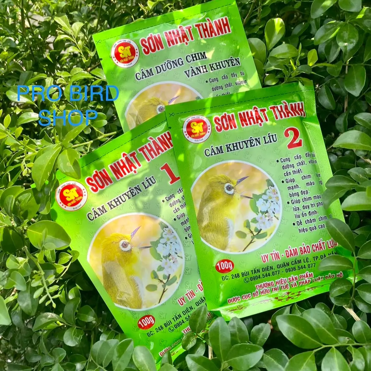 Cám Chim Vành Khuyên SƠN NHẬT THÀNH