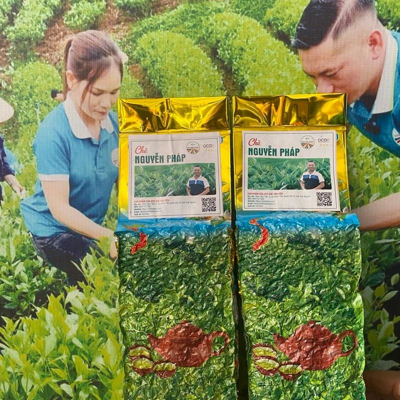 1kg trà móc câu ngon trà Thái Nguyên trà hương bếp củi Trà Bắc trà tôm nõn. Sản phẩm của Htx chè Tân Tiến