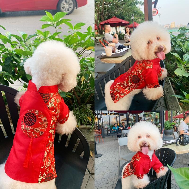 ĐỒNG XU áo dài tết Cho Thú Cưng. Quần áo thú cưng chó mèo