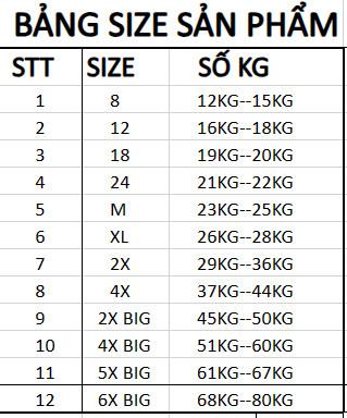 Product Introduction of Bộ quần áo thể thao Brasil , Đồ đá banh trẻ em và người lớn Thun Sport 0
