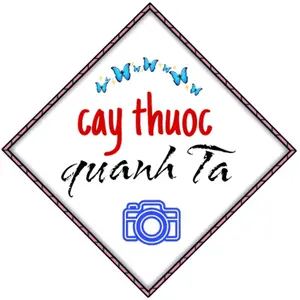 Cây Thuốc Quanh Ta