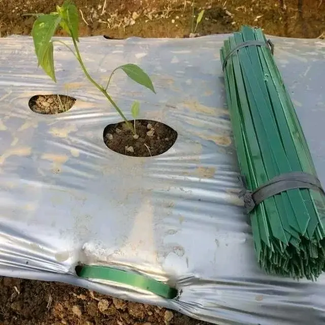 Sujen isi 200pcs( Penjepit plastik Mulsa Pertanian)